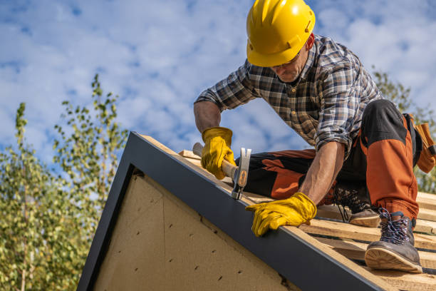 Best Roof Maintenance and Cleaning  in Serenada, TX